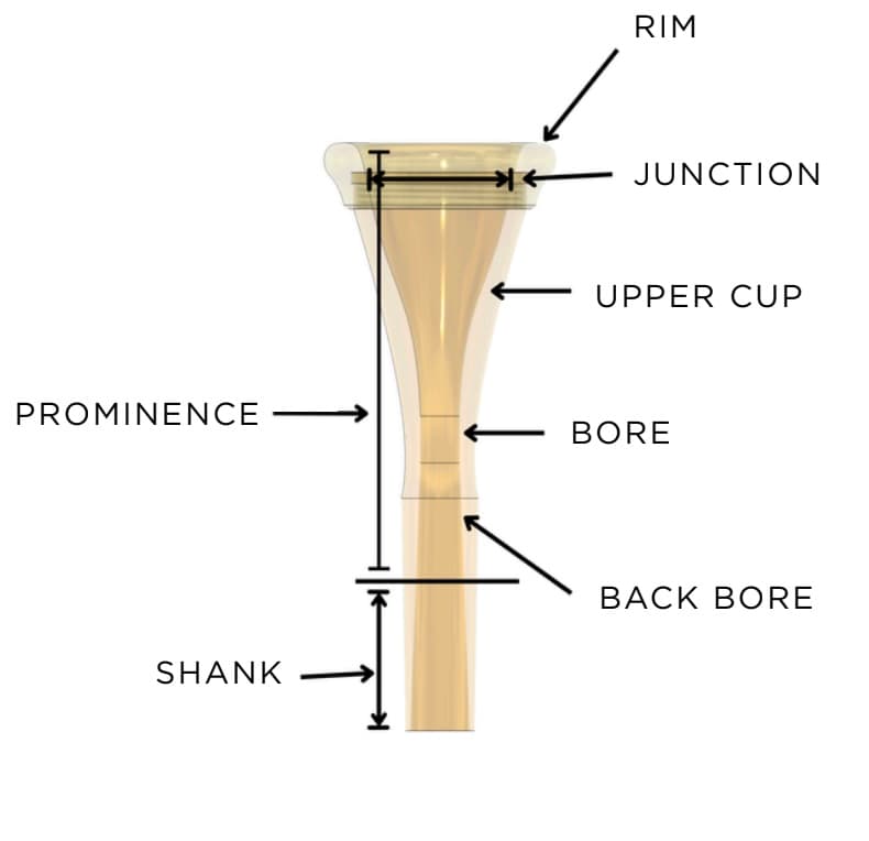 Diagram of a French horn mouthpiece with the rim, junction, upper cup, bore, back bore, prominence, and shank labelled